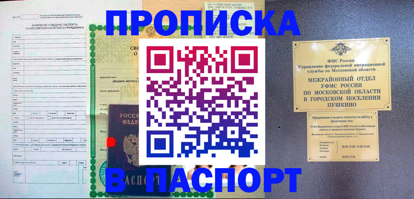 временная регистрация госуслуги в Мурманской области