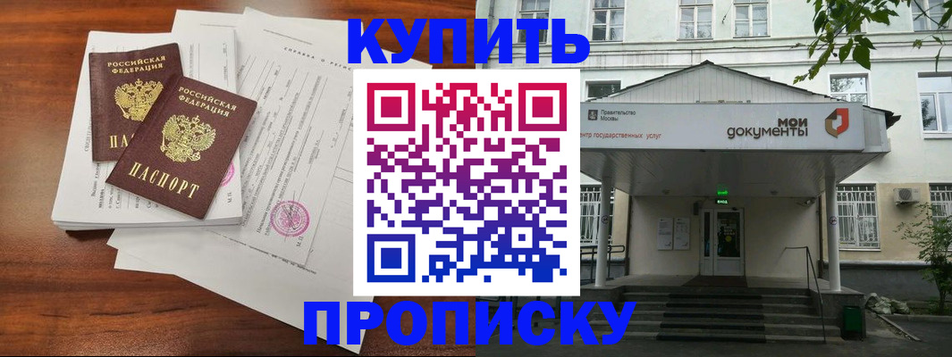 прописка для школы в Мурманской области